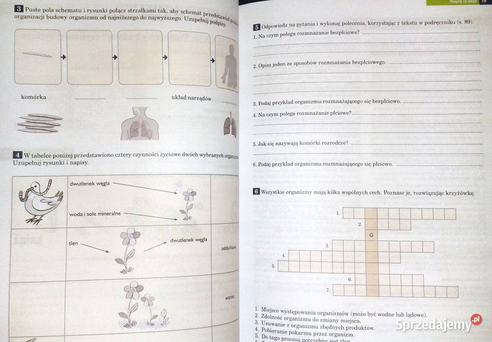 Tajemnice przyrody 4 Pomysły na lekcje Praca Chełm sprzedam