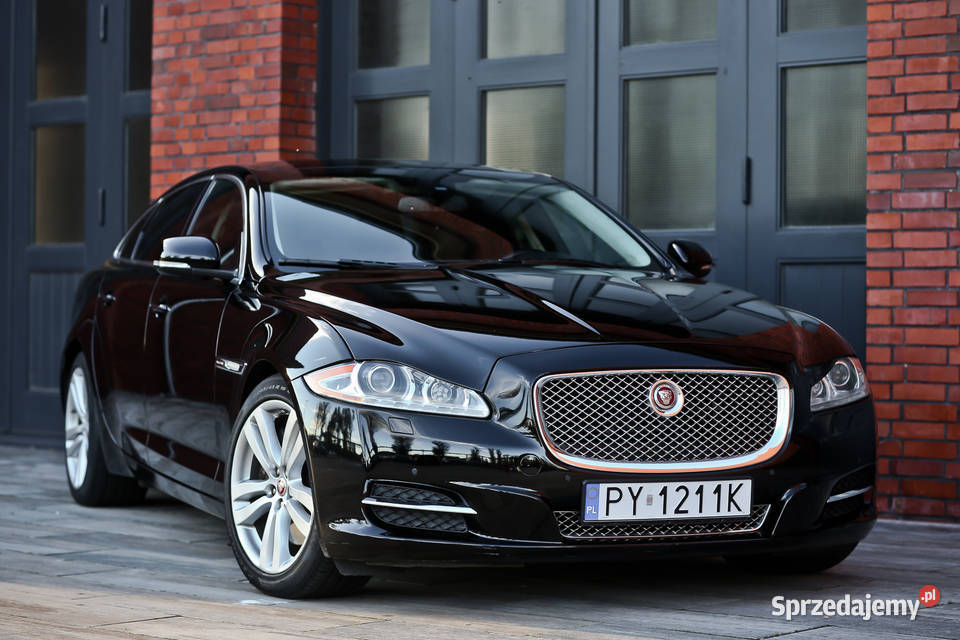 Jaguar XJ Long Portfolio wielkopolskie Poznań