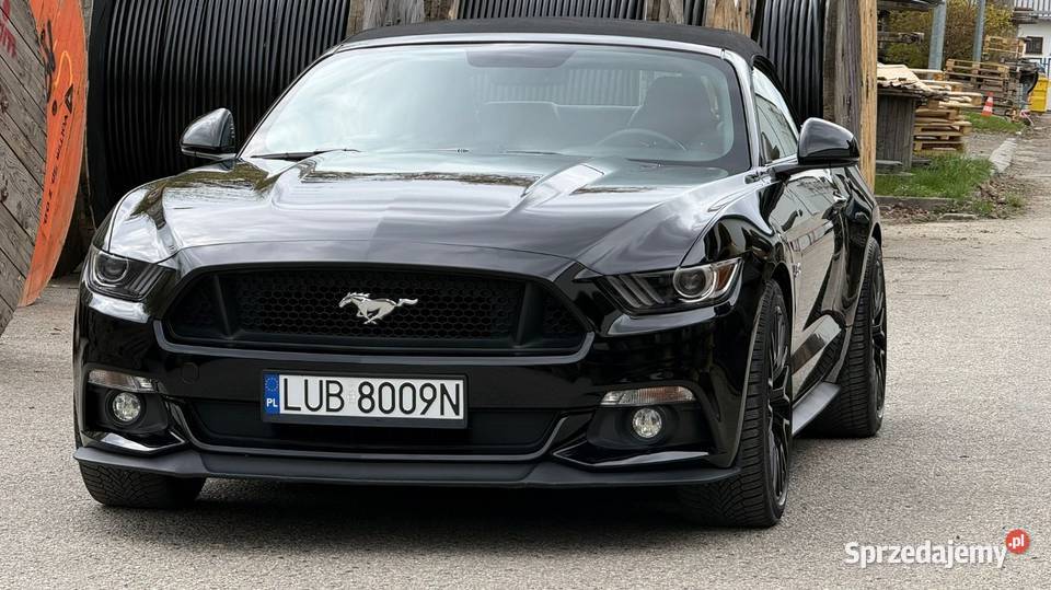 Mustang Europa wersja Szwajcaria Bełżyce