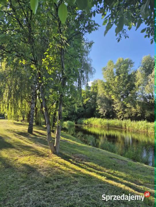 Działka ROD Morysin 300 m² z domkiem - Warszawa-Wilanów Warszawa