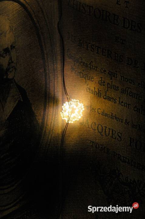 Goliat śnieżynki 10 LED na baterie ciepły biały Lublin