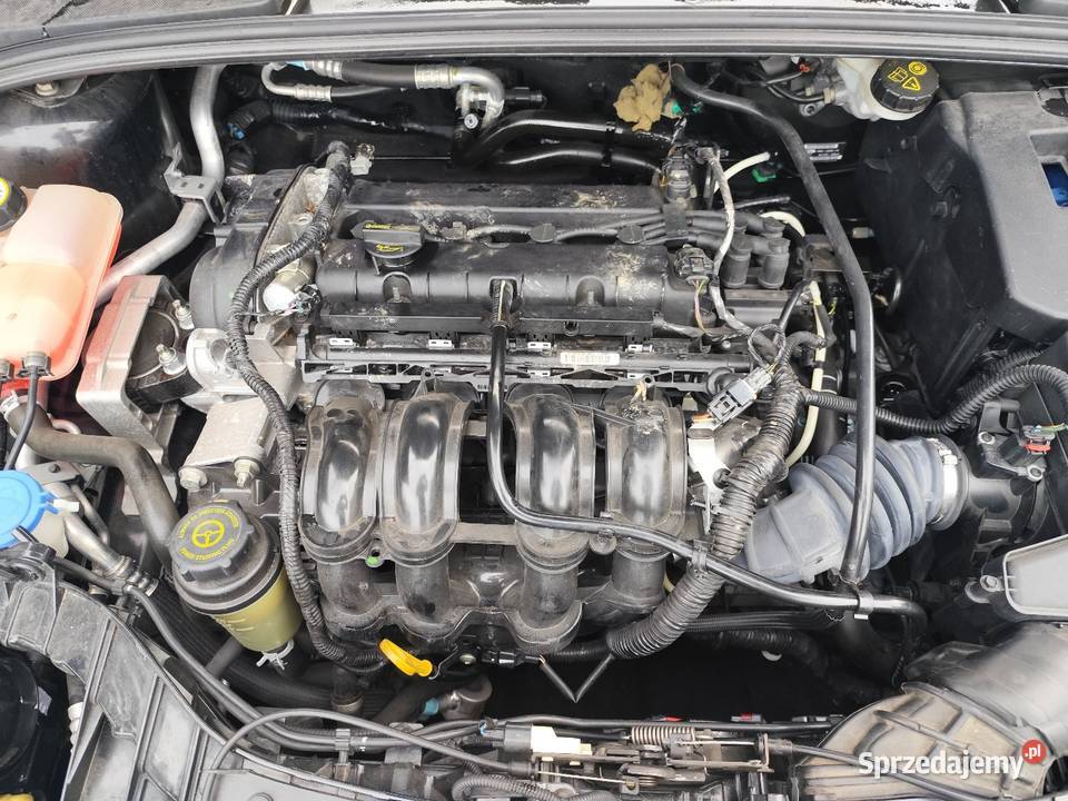 Ford Focus MK3 mały przebieg podkarpackie Mielec