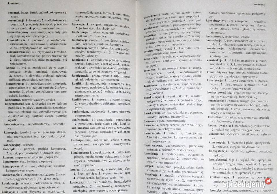 Słownik szkolny Synonimy Witold Cienkowski