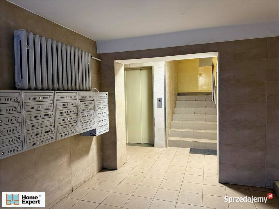 3pok 49met Gwiaździstej BALKONPIWNICAWINDA Liczba pokoi 3 Wrocław