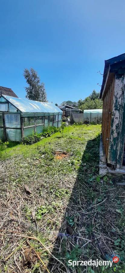 Sprzątanie Ogródków ROD Karczowanie Rozbiórka lubelskie prace ogrodowe