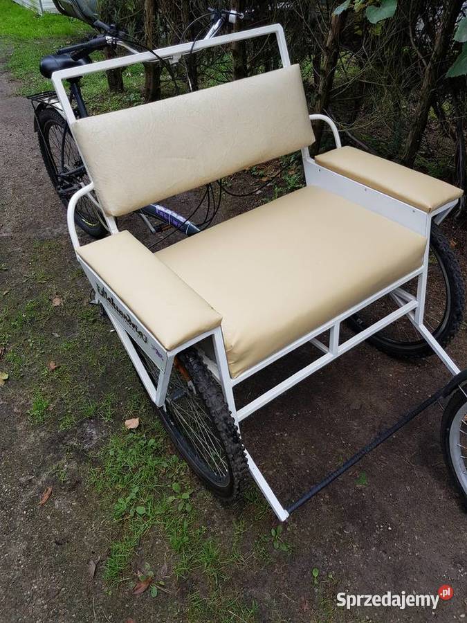 EkskluzywnyNowyDo pracyrekreacjiRower riksza Barlinek