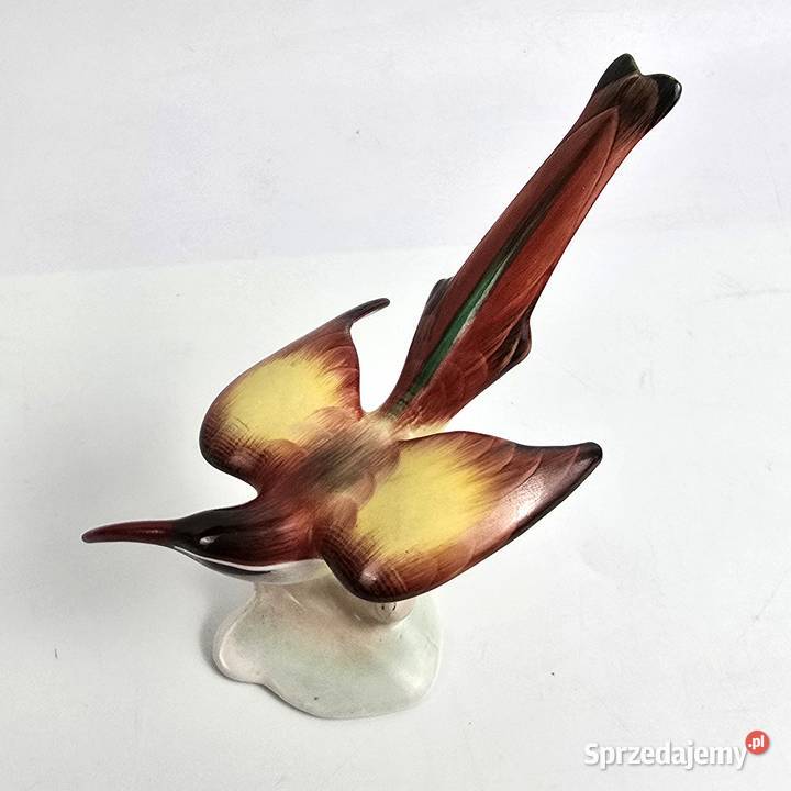 Ptak Miodojad Klary Garbera Aquincum Budapeszt mazowieckie Bronisze