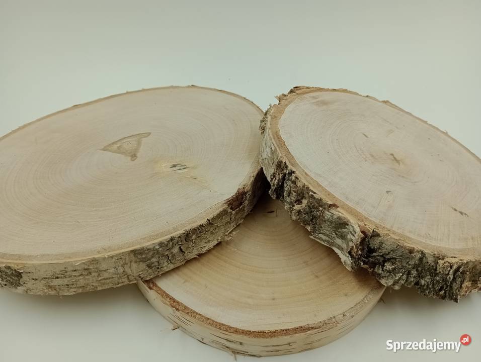 PLASTRY BRZOZOWE 1520 KRĄŻKI BROZOZWE PLASTRY lubuskie Żagań