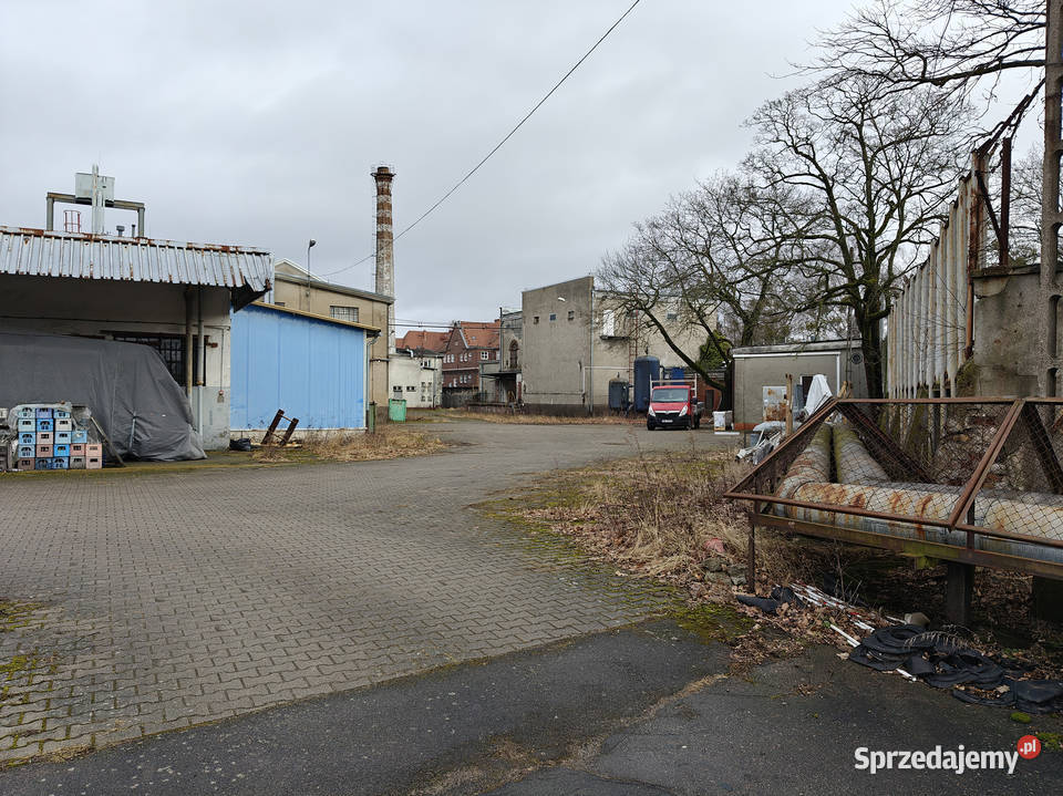 Syndyk sprzeda Szczecińską Fabrykę Wódek STARKA zachodniopomorskie Szczecin