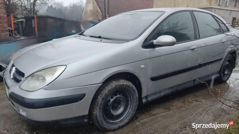 Citroen C5 20 HDi hak climatronik 2001r Zarejestrowany w Polsce Środa Śląska