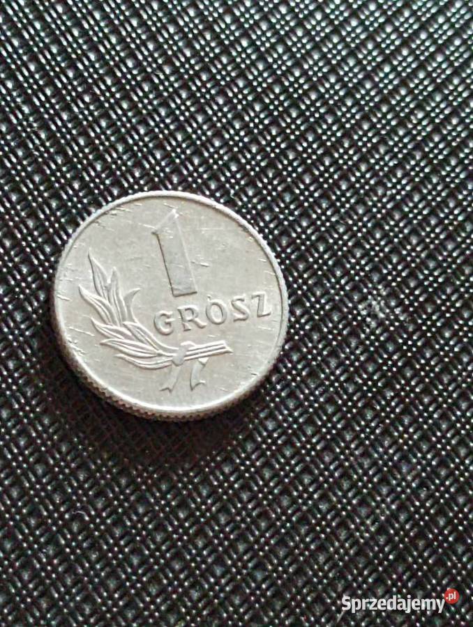 Sprzedam drugi 1 grosz 1949 r bzm Numizmatyka Chełm
