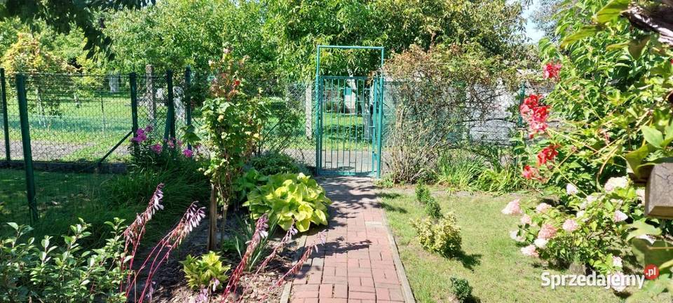 Sprzedam atrakcyjną działkę rekreacyjną Katowice