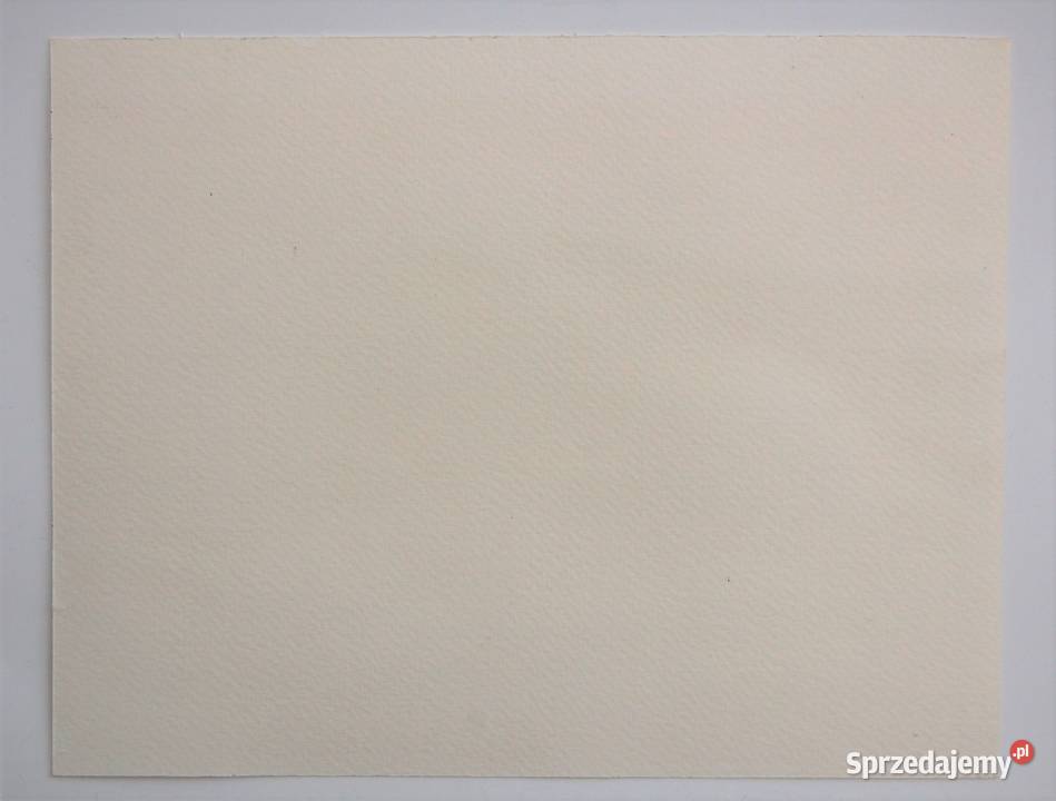 Kazimierz Dolny pejzaż akwarela bez ramy obraz lubelskie Lublin