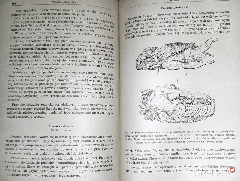 Chirurgia ogólna zwierzat domowych B Oliwkow