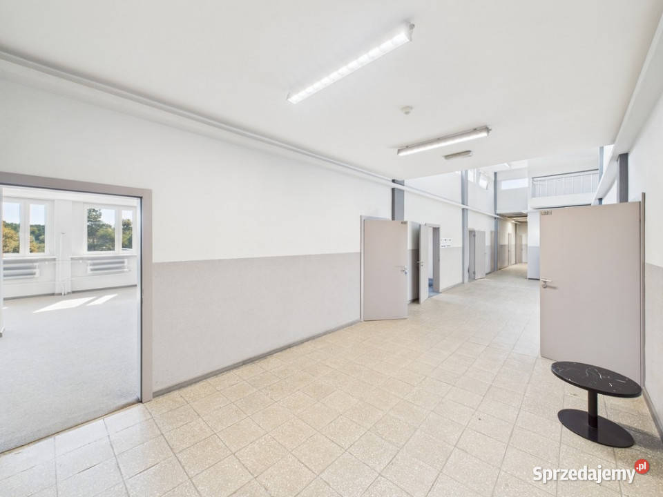 Biuro 707 m z windą i parkingiem Rybnik 70.7m2 Wynajem śląskie