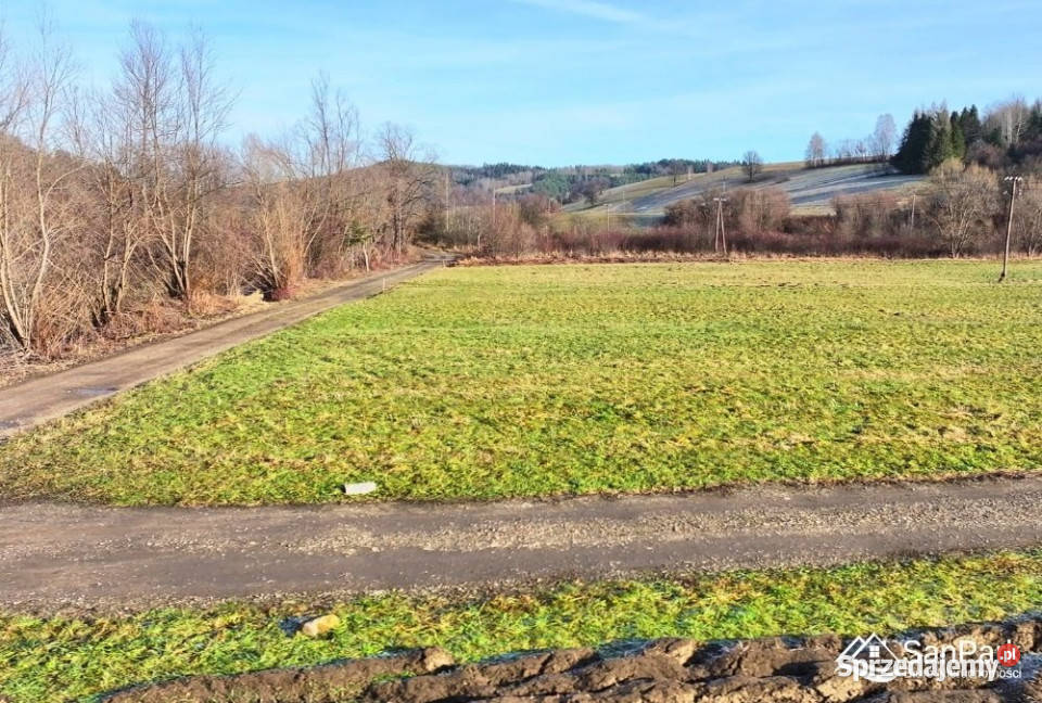 Sprzedam działka 3152m2 Zahoczewie