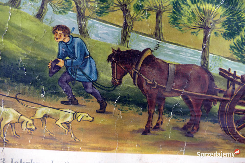 Mapa ścienna Niemcy lata 50 Dekoracje i ozdoby Zielona Góra