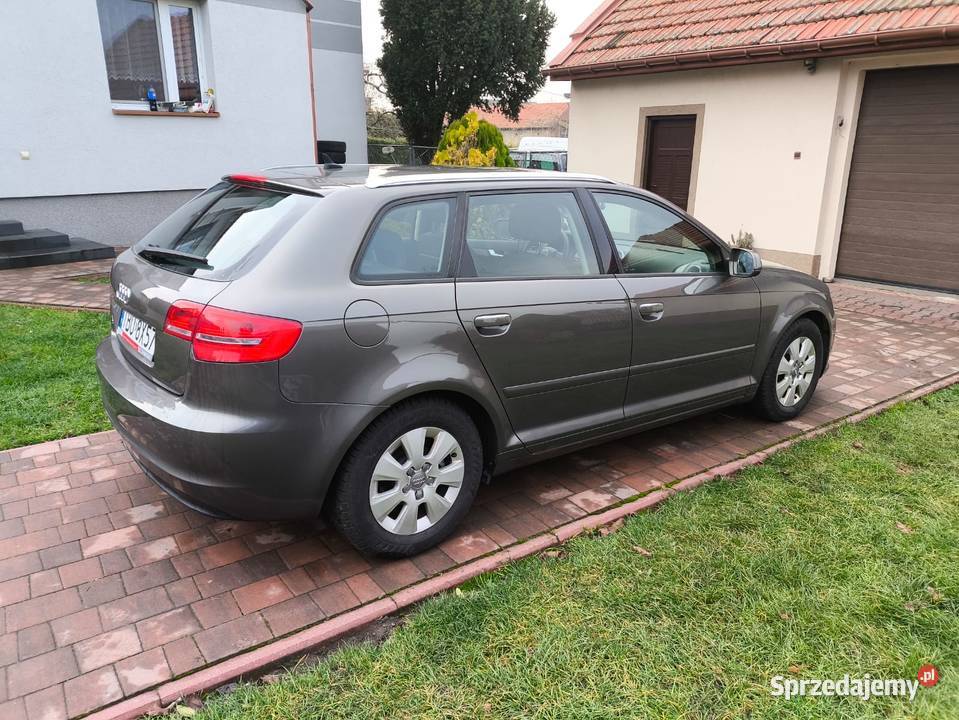 19 TDI 105 Diesel Nawigacja Klimatyzacja świętokrzyskie Pińczów