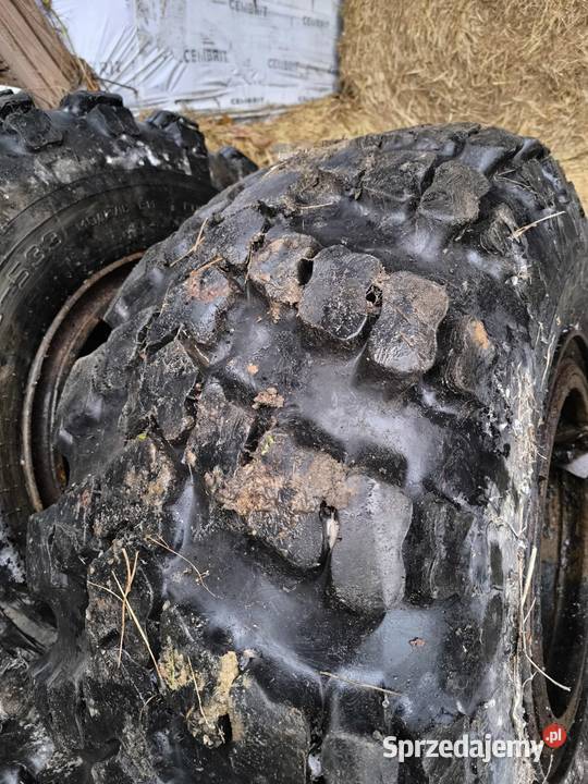 Koło kraz balonika balon Koła dojazdowe Tomaszkowo