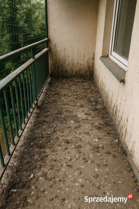 Sprzątanie balkonu Opole Wałbrzych Legnica Wrocław