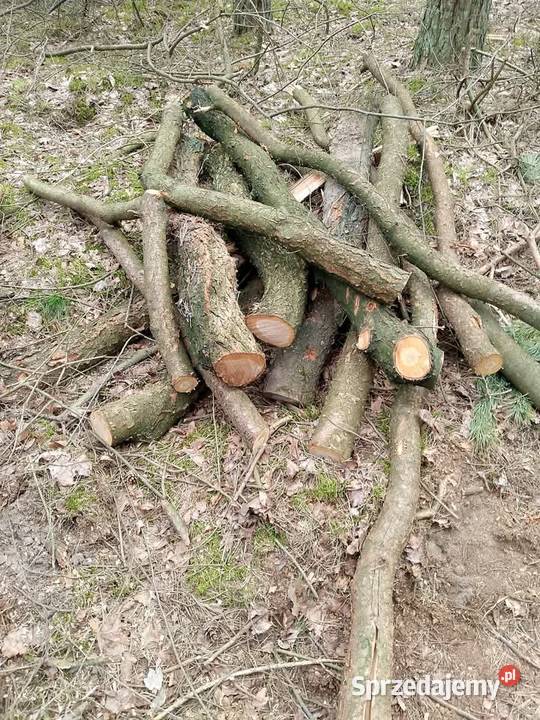 Sprzedam Dom i Ogród sprzedam