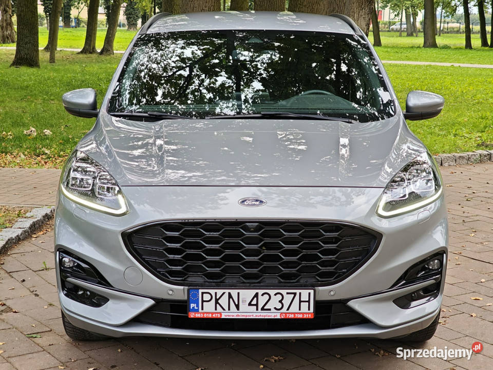 Ford Kuga III 2019 wielkopolskie Sadlno