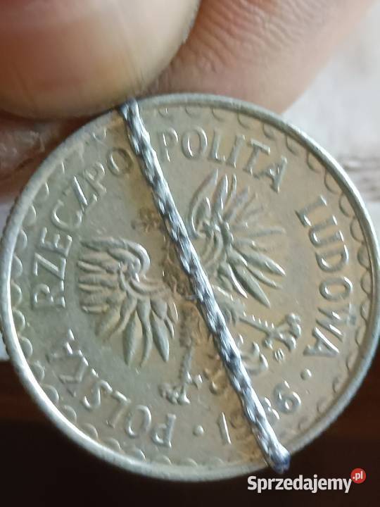 Sprzedam monete 1 zloty 1986 r mala skretka