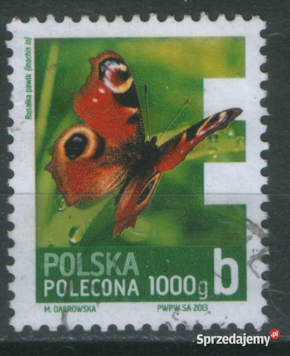 Zn Fi 4448 77 8 80 8 506 7 kas 2013 Gliwice