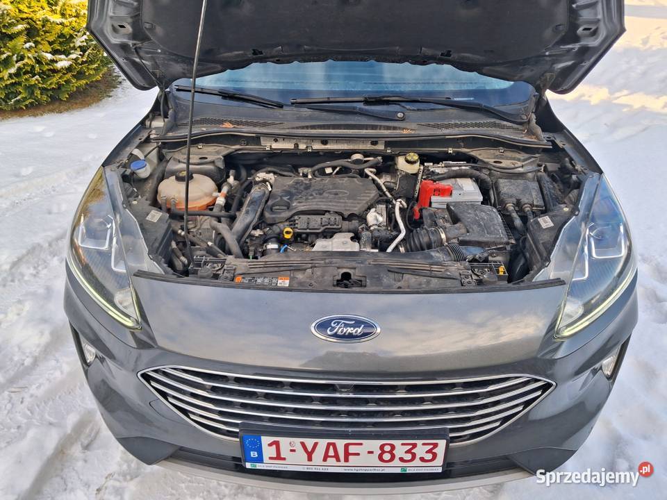 Ford Kuga 2020 15TDI automat bezwypadkowy Chojnice sprzedam