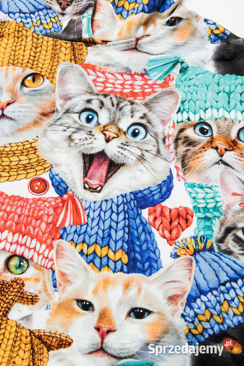 Magic Pet Fashion bluza fanów kotów L Opole