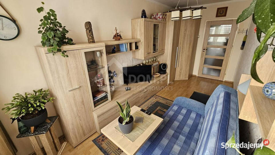 3 pokoje 5995 m Kielce os Świętokrzyskie Sprzedaż