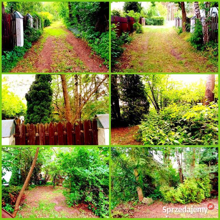 DWA DOMY MIESZKALNE CAŁOROCZNE NA WSI POD LASEM Chynów