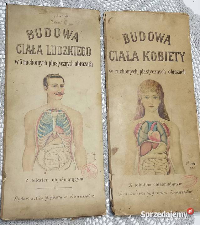 Budowa ciała ludzkiego 1901r budowa ciała Rok wydania 1901 Orzesze