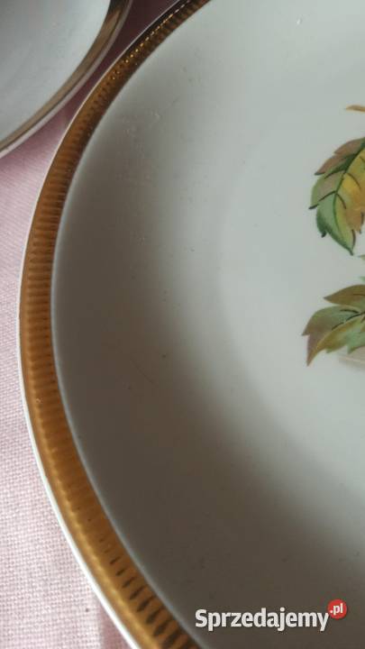 Patera z owocami Bohemia Czechslovakia
Biała Gdańsk sprzedam
