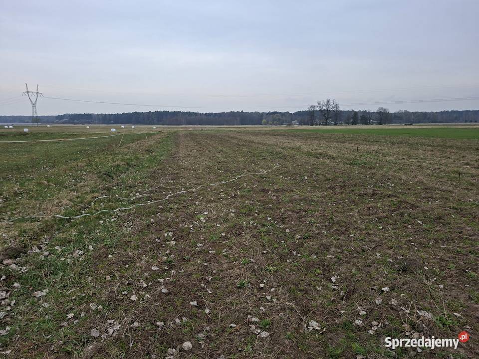 Działki budowlane Włoszczowa