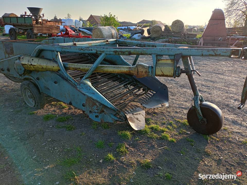 Kopaczka do ziemniakow nieuszkodzony wielkopolskie Gostyń