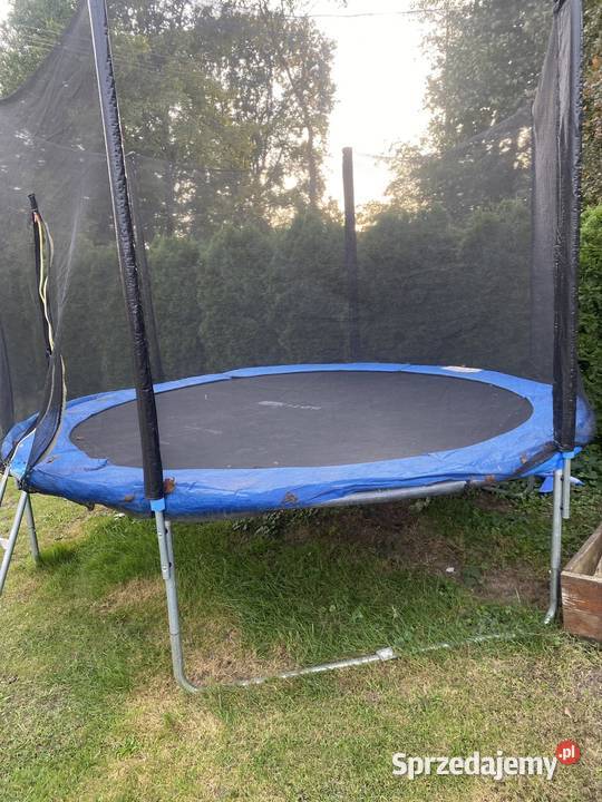Trampolina