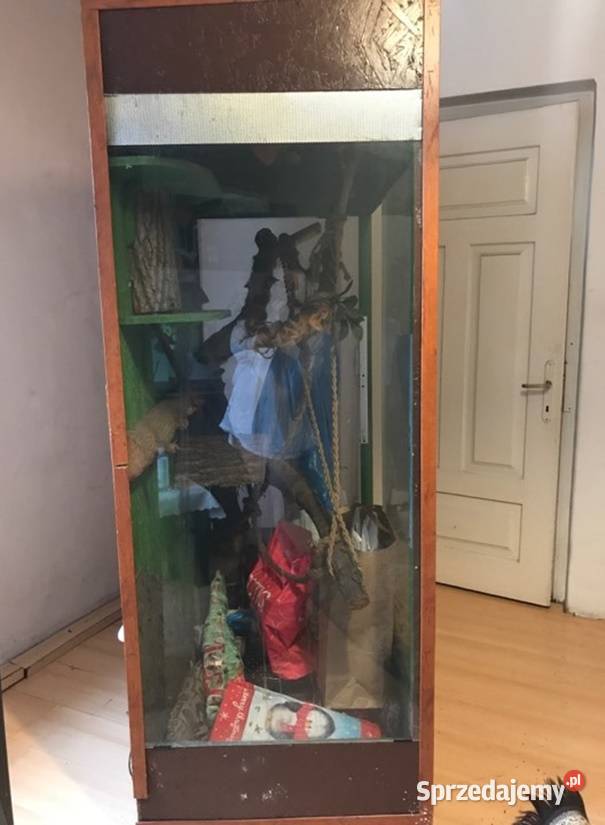 Terrarium wiekszego gada mazowieckie Ciechanów