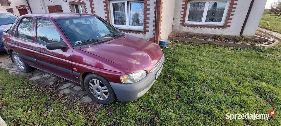 Ford Escort 1997r Klima Podgrzewana przednia Wrocław