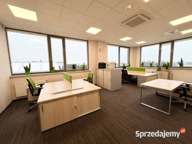 GOTOWA BAZA FIRMY HALABIURAMAGAZYN DO WYNAJĘCIA Wynajem Bilcza sprzedam