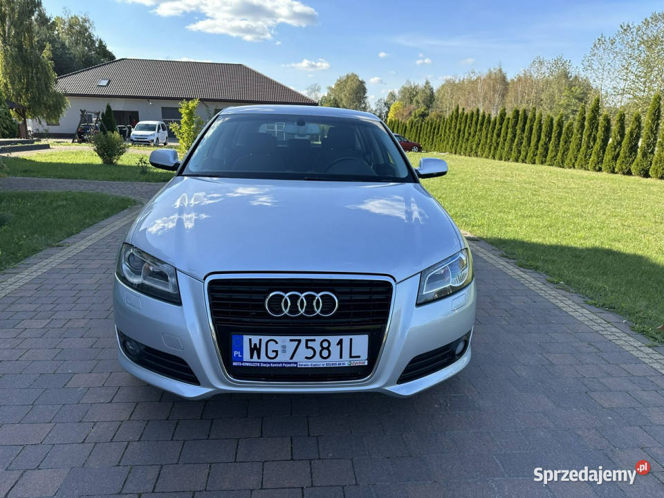 Audi A3 8P 20032012 Lipówki sprzedam