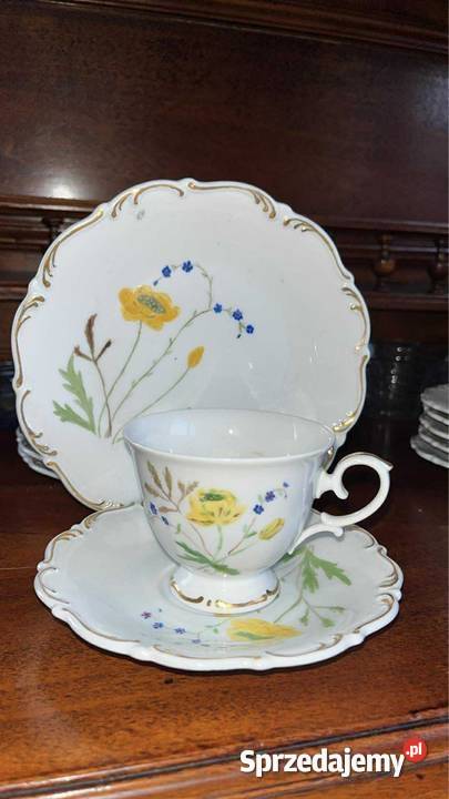 Filiżanka z talerzkiem Tirschenreuther Porcelana i szkło Gdańsk