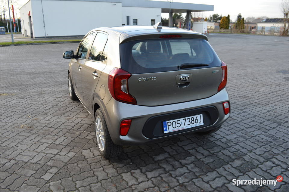 Kia Picanto Kia Picanto 2020 Tablet Klima Niski Rok produkcji 2020 Ostrów Wielkopolski