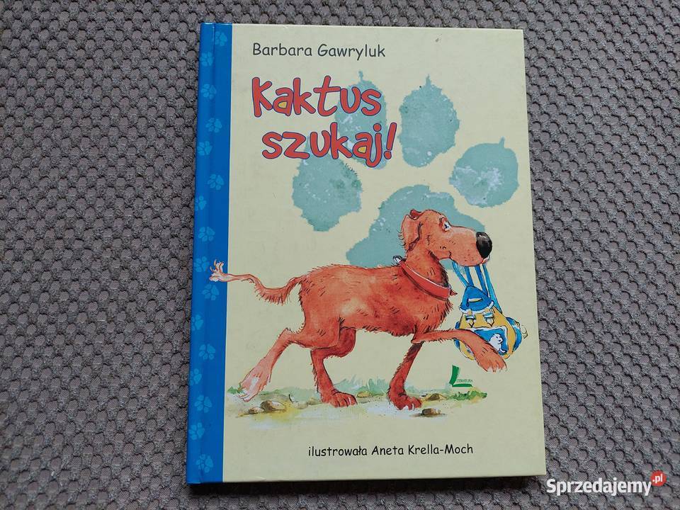 Kaktus szukaj Barbara Gawryluk Kraków