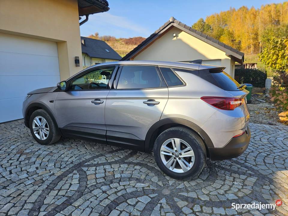 Opel Grandland X Super stan Krynica-Zdrój