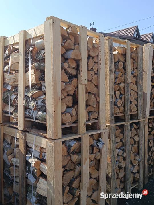 Drzewo kominkowe brzoza Częstochowa