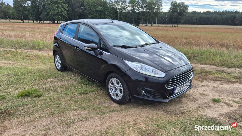 Ford Fiesta Mk7 2017 r bogata wersja Titanium diesel wielkopolskie Witkowo sprzedam