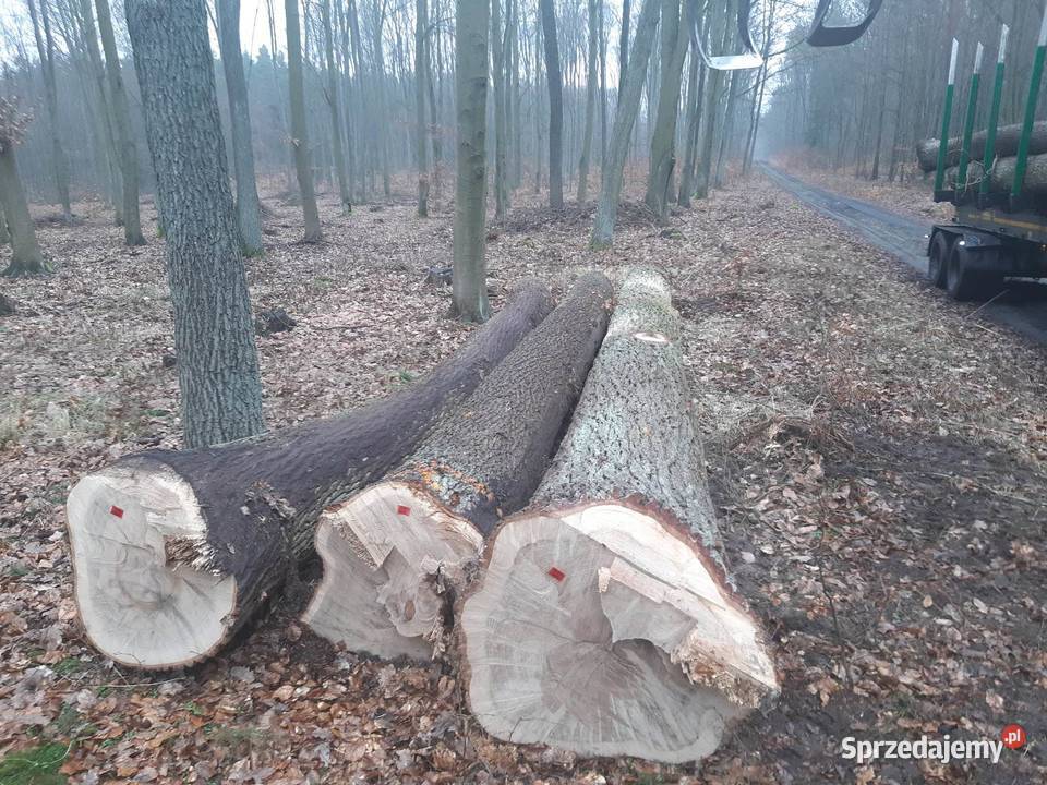 Sprzedam dłużycę dębową Zgierz