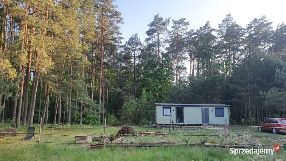 Działka w Borach Tucholskich z lasem i domkiem Lisiny