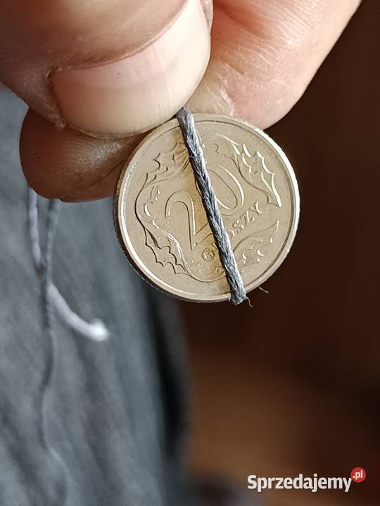 Sprzedam 20 groszy 2008 skretka Chełm